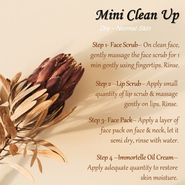 Mini Clean Up- Dry to Normal Skin