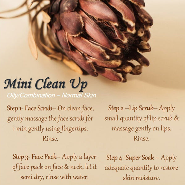 Mini Clean Up- Oily/ Combination to Normal Skin